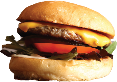 burger-img